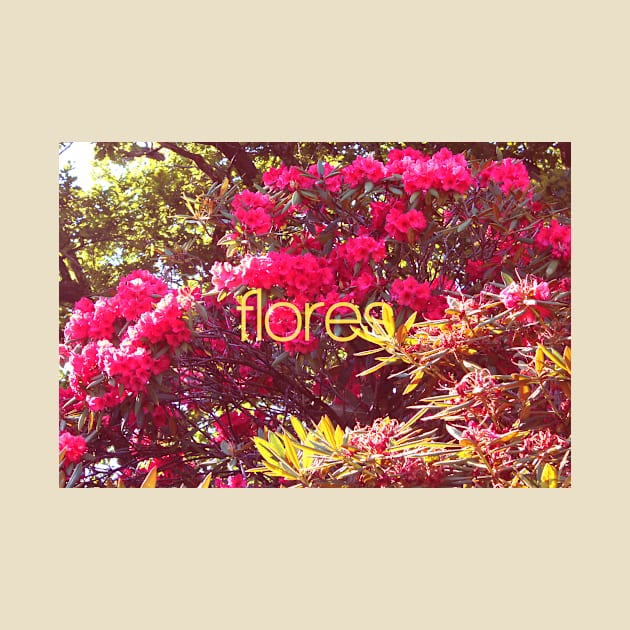 Flores by 17th