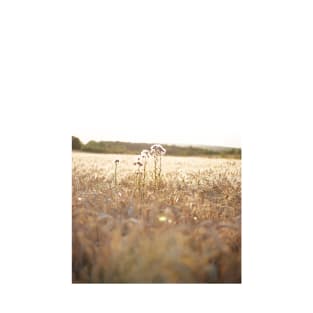 Cornfield in Summer T-Shirt