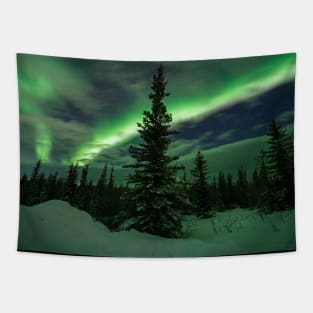 Aurora Majesty Tapestry