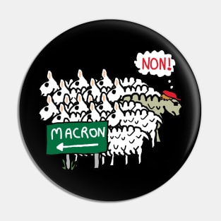 Anti Macron Pin