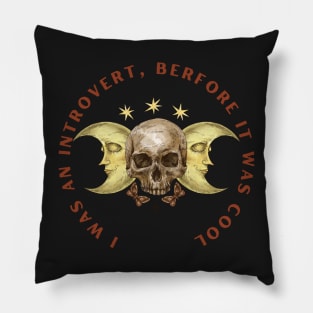 I was an introvert before it was cool Pillow