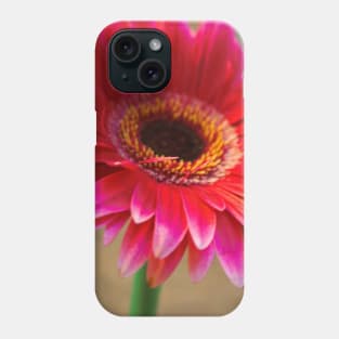Pink Bloom Phone Case