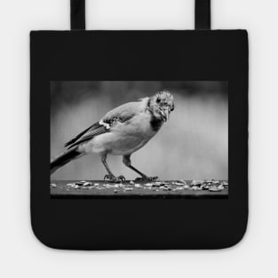 Young bluejay Tote