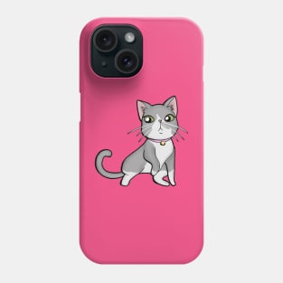 Stray Kitties Pete01 Phone Case