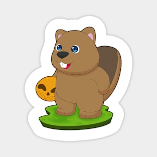 Beaver Halloween Pumpkin Magnet