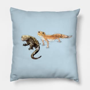 Geckos Pillow