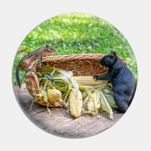 Chipmunk and squirrel share a basket of corn Pin