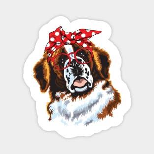 Saint Bernard Head Bandana Magnet