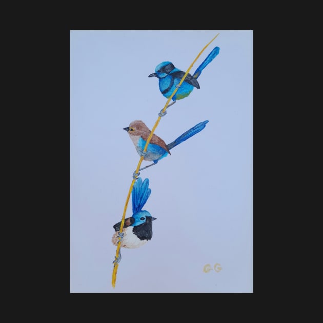 Australian Blue Wrens - birds by GarryGreenwood