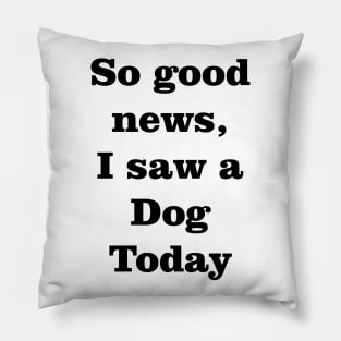 I saw a dog today Pillow