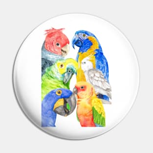 Several parrots in watercolor - rainbow - colored Pin