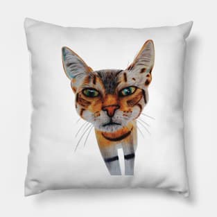 Curious Cat Pillow