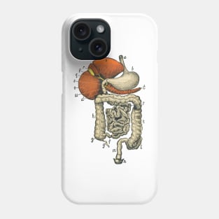 Digestive System Diagram Phone Case