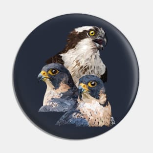 Birds of prey Pin