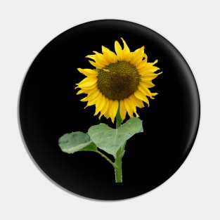 Sunflower Pin