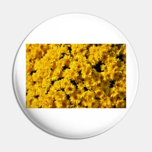 Golden Mums Pin