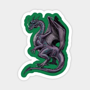 Äventyr: The Dragon Magnet