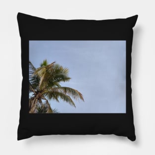 Palm tree and blue skies Pillow