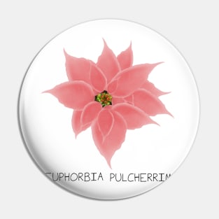 Pink Poinsetta Genus Print Pin