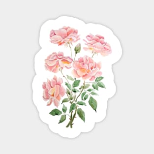 pink rose watercolor 2021 Magnet