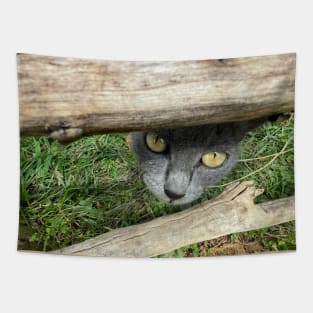 a grey African cat Tapestry