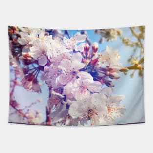 Cherry flowers Tapestry