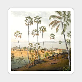 Coconut grove landscape Magnet