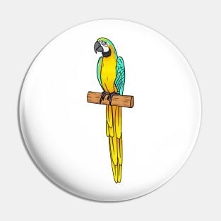 Blue-and-yellow macaw bird cartoon illustration Pin