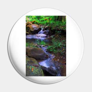 Mountain Stream Pin