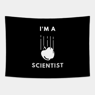 I am a Scientist - Physics Tapestry