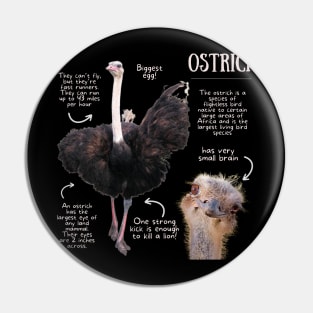 Animal Facts - Ostrich Pin