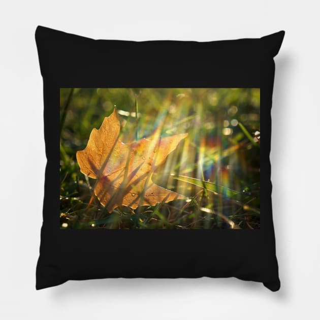 Yellow Maple Leaf in the Grass Pillow by 1Redbublppasswo