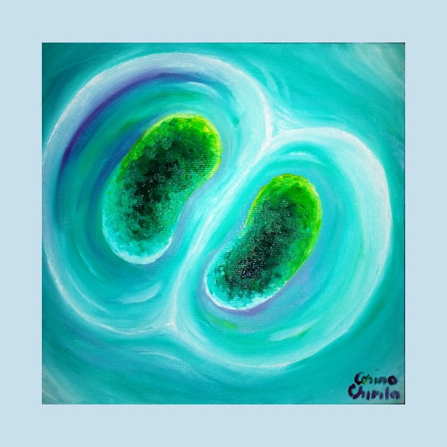 cyanobacteria dividing cells by CORinAZONe