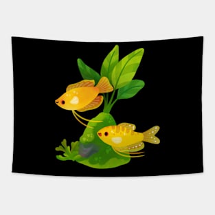 Freshwater fish and plants - Gourami Tapestry