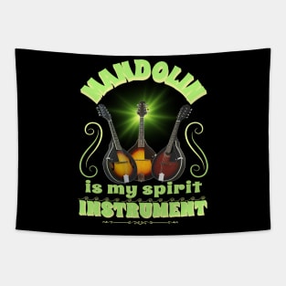 Music instruments are my spirit, mandolin. Tapestry