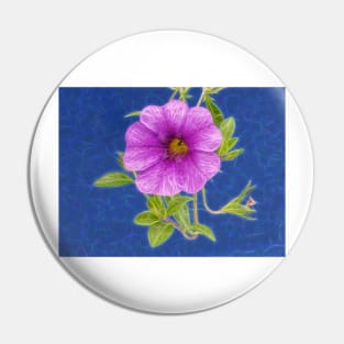 Rabat Morocco for this purple morning glory bloom Pin