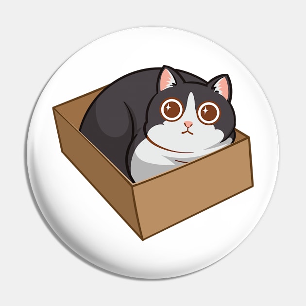 Cat in the box Pin by tomodaging