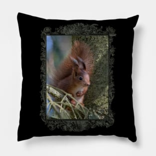 Pure Wildlife: Cute Squirrel Pillow