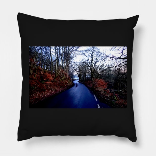 Country lane Pillow by SHappe