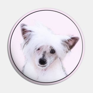 Chinese Crested (Powderpuff) Pin