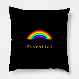 Small Essential Rainbow Pillow