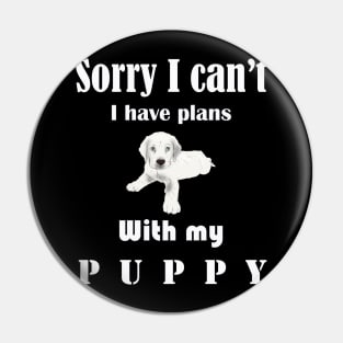 Sorry I can't I have plans with my puppy Pin