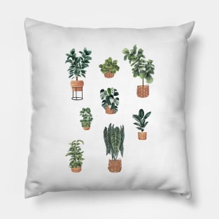 House plant in baskets Pillow