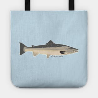 Salmo salar cartoon Tote