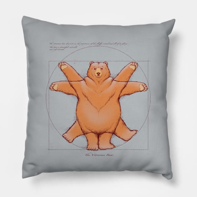 Vitruvian Bear Pillow by Tobe_Fonseca