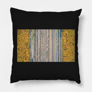 Autumn forest and railway depot top down aerial view Pillow