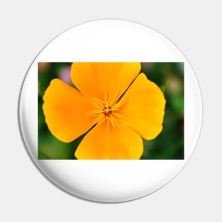 Yellow flower close-up against blurry green background Pin