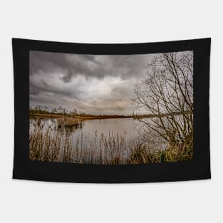 A view across Rockland Broad, Norfolk Tapestry