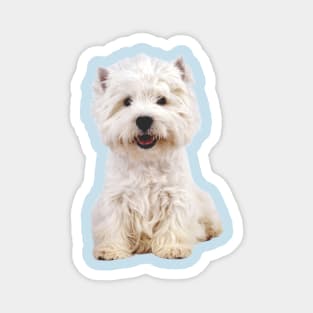 West Highland White Terrier Magnet