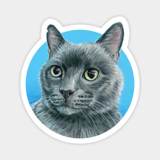 Cute Russian Blue Gray Cat Magnet